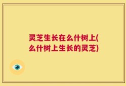 灵芝生长在么什树上(么什树上生长的灵芝)