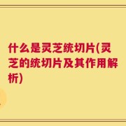 什么是灵芝统切片(灵芝的统切片及其作用解析)