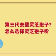 第三代去壁灵芝孢子？怎么选择灵芝孢子粉