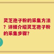 灵芝孢子粉的采集方法？详细介绍灵芝孢子粉的采集步骤？