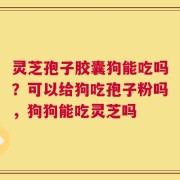 灵芝孢子胶囊狗能吃吗？可以给狗吃孢子粉吗，狗狗能吃灵芝吗