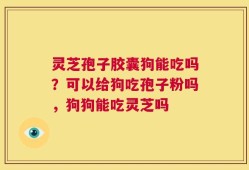 灵芝孢子胶囊狗能吃吗？可以给狗吃孢子粉吗，狗狗能吃灵芝吗