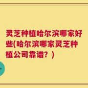 灵芝种植哈尔滨哪家好些(哈尔滨哪家灵芝种植公司靠谱？)