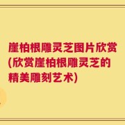 崖柏根雕灵芝图片欣赏(欣赏崖柏根雕灵芝的精美雕刻艺术)