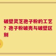 破壁灵芝孢子粉的工艺？孢子粉破壳与破壁区别