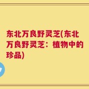 东北万良野灵芝(东北万良野灵芝：植物中的珍品)