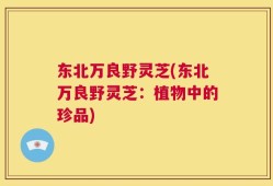东北万良野灵芝(东北万良野灵芝：植物中的珍品)