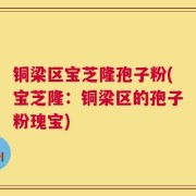 铜梁区宝芝隆孢子粉(宝芝隆：铜梁区的孢子粉瑰宝)