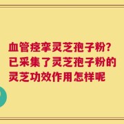 血管痉挛灵芝孢子粉？已采集了灵芝孢子粉的灵芝功效作用怎样呢