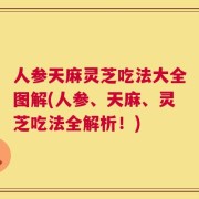 人参天麻灵芝吃法大全图解(人参、天麻、灵芝吃法全解析！)
