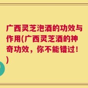 广西灵芝泡酒的功效与作用(广西灵芝酒的神奇功效，你不能错过！)