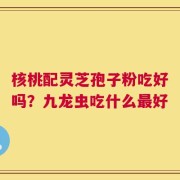 核桃配灵芝孢子粉吃好吗？九龙虫吃什么最好
