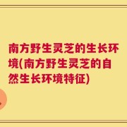 南方野生灵芝的生长环境(南方野生灵芝的自然生长环境特征)