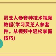 灵芝人参套种技术视频教程(学习灵芝人参套种，从视频中轻松掌握技巧)