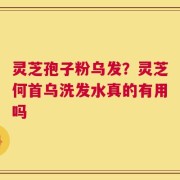 灵芝孢子粉乌发？灵芝何首乌洗发水真的有用吗