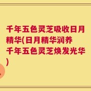 千年五色灵芝吸收日月精华(日月精华润养 千年五色灵芝焕发光华)