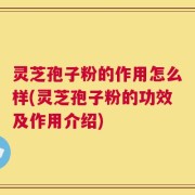 灵芝孢子粉的作用怎么样(灵芝孢子粉的功效及作用介绍)