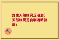 野生天然红灵芝泡酒(天然红灵芝自制酒助健康)