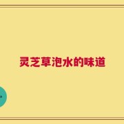 灵芝草泡水的味道