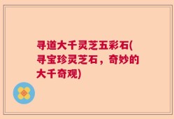 寻道大千灵芝五彩石(寻宝珍灵芝石，奇妙的大千奇观)