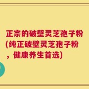 正宗的破壁灵芝孢子粉(纯正破壁灵芝孢子粉，健康养生首选)