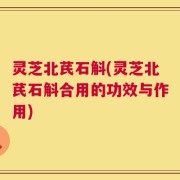灵芝北芪石斛(灵芝北芪石斛合用的功效与作用)