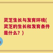 灵芝生长与发育环境(灵芝的生长和发育条件是什么？)
