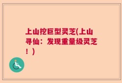 上山挖巨型灵芝(上山寻仙：发现重量级灵芝！)