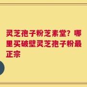 灵芝孢子粉芝素堂？哪里买破壁灵芝孢子粉最正宗