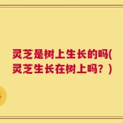 灵芝是树上生长的吗(灵芝生长在树上吗？)