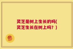 灵芝是树上生长的吗(灵芝生长在树上吗？)