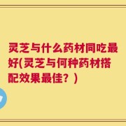 灵芝与什么药材同吃最好(灵芝与何种药材搭配效果最佳？)