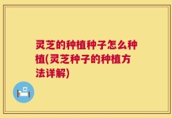 灵芝的种植种子怎么种植(灵芝种子的种植方法详解)