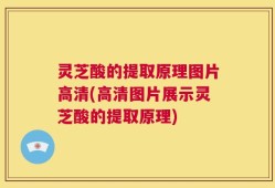 灵芝酸的提取原理图片高清(高清图片展示灵芝酸的提取原理)