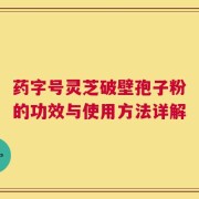 药字号灵芝破壁孢子粉的功效与使用方法详解