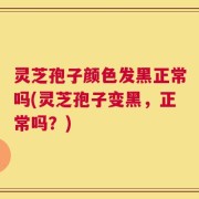 灵芝孢子颜色发黑正常吗(灵芝孢子变黑，正常吗？)