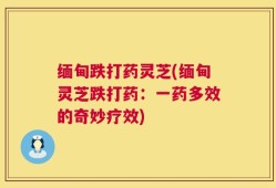 缅甸跌打药灵芝(缅甸灵芝跌打药：一药多效的奇妙疗效)