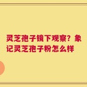 灵芝孢子镜下观察？象记灵芝孢子粉怎么样