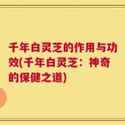 千年白灵芝的作用与功效(千年白灵芝：神奇的保健之道)