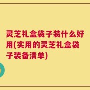 灵芝礼盒袋子装什么好用(实用的灵芝礼盒袋子装备清单)