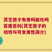 灵芝孢子有用吗能吃吗百度百科(灵芝孢子的功效与可食用性简介)