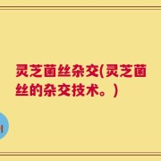 灵芝菌丝杂交(灵芝菌丝的杂交技术。)