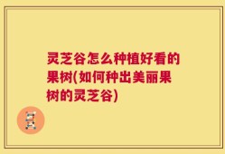 灵芝谷怎么种植好看的果树(如何种出美丽果树的灵芝谷)