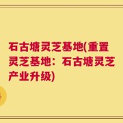石古塘灵芝基地(重置灵芝基地：石古塘灵芝产业升级)