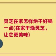 灵芝在家怎样烘干好喝一点(在家干燥灵芝，让它更美味)