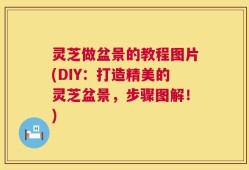 灵芝做盆景的教程图片(DIY：打造精美的灵芝盆景，步骤图解！)