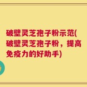 破壁灵芝孢子粉示范(破壁灵芝孢子粉，提高免疫力的好助手)
