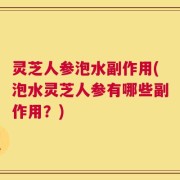 灵芝人参泡水副作用(泡水灵芝人参有哪些副作用？)