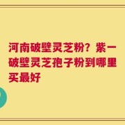 河南破壁灵芝粉？紫一破壁灵芝孢子粉到哪里买最好