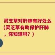 灵芝草对肝肺有好处么(灵芝草有助保护肝肺，你知道吗？)